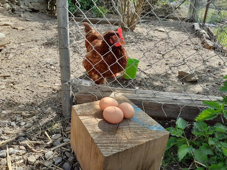 Penzion Mala Farma Nemojany Екстер'єр фото